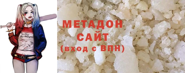шишки Ельня