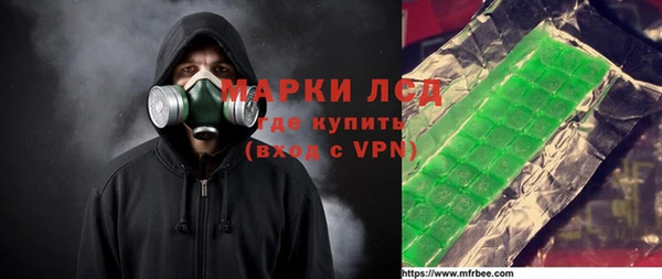 индика Арсеньев