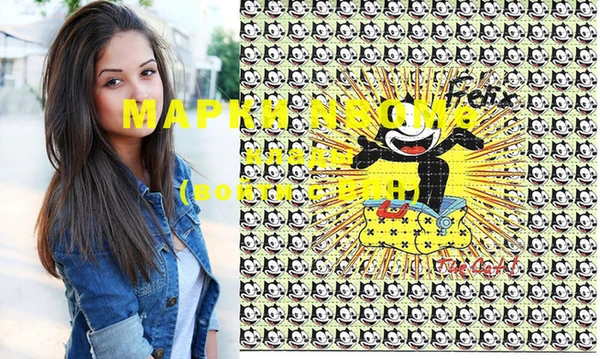 индика Арсеньев