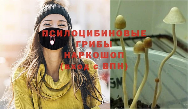 шишки Алексин