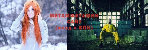 шишки Ельня