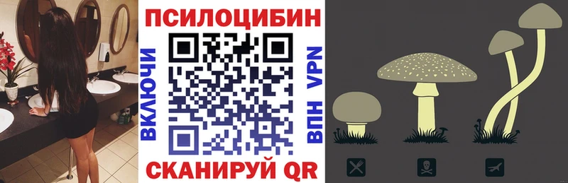 Галлюциногенные грибы Magic Shrooms OMG вход Краснотурьинск
