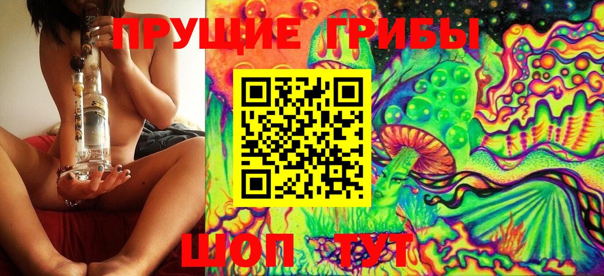Псилоцибиновые грибы Psilocybine cubensis Краснотурьинск