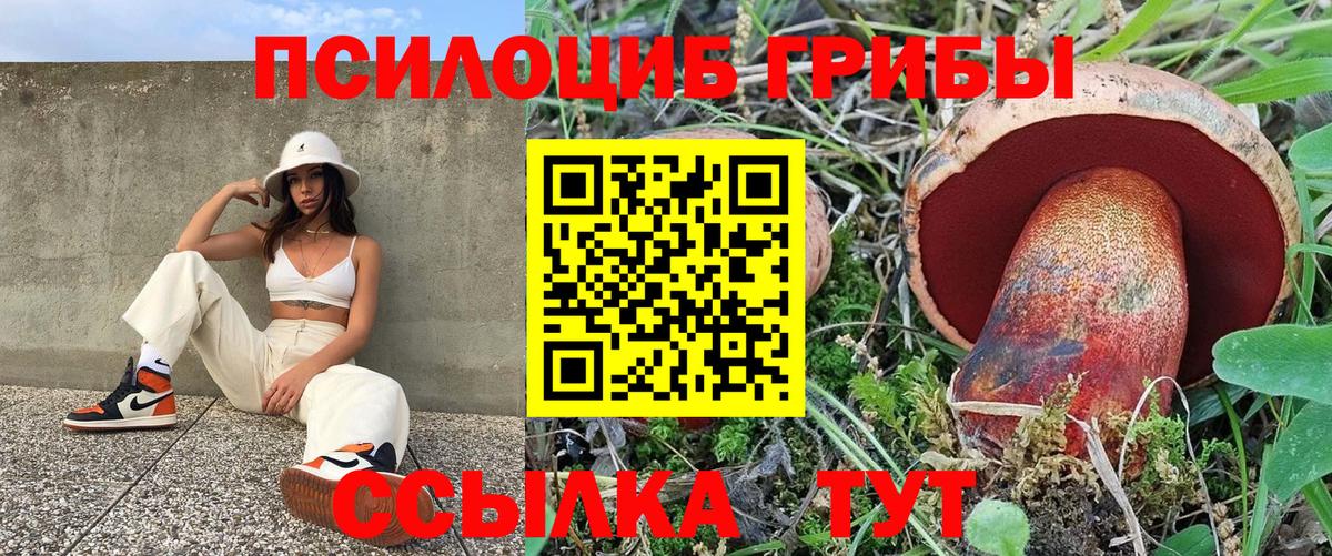как найти   Вход с VPN  Краснотурьинск  Галлюциногенные грибы MAGIC MUSHROOMS 